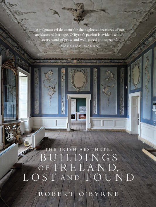 The Irish Aesthete: Buildings of Ireland, Lost and Found