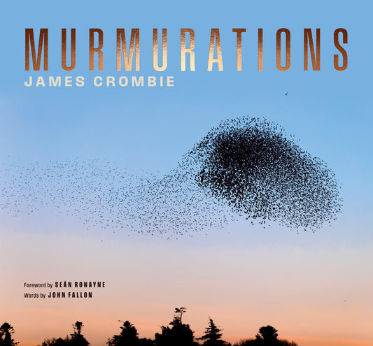 Murmurations