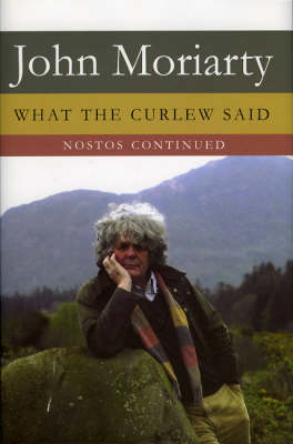 What the Curlew Said: Nostos Continued