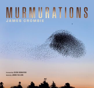 Cover for Murmurations by James Crombie showing a murmuration of starlings and a hawk