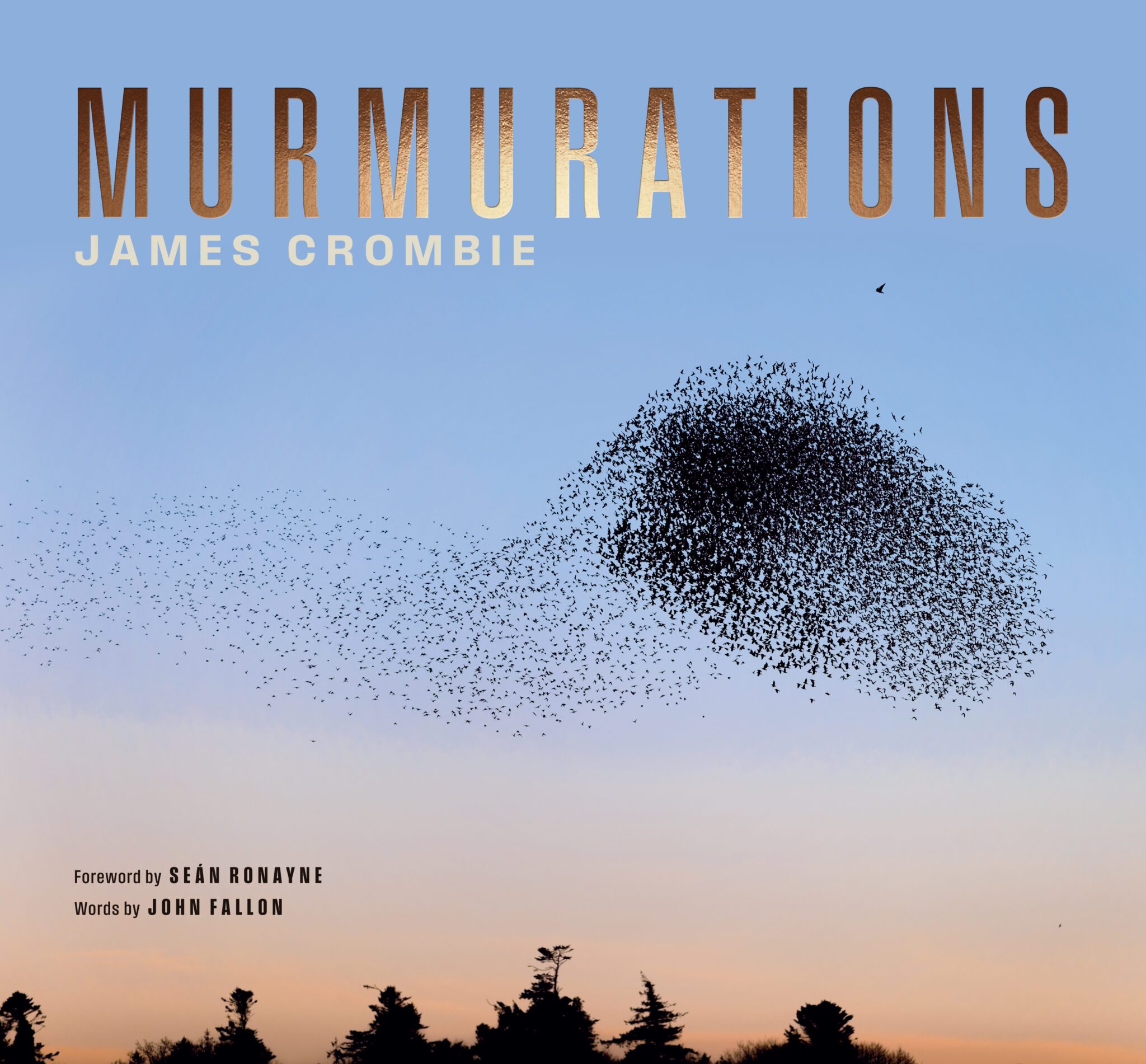 Lilliput-Murmurations-CoverIdeas.indd